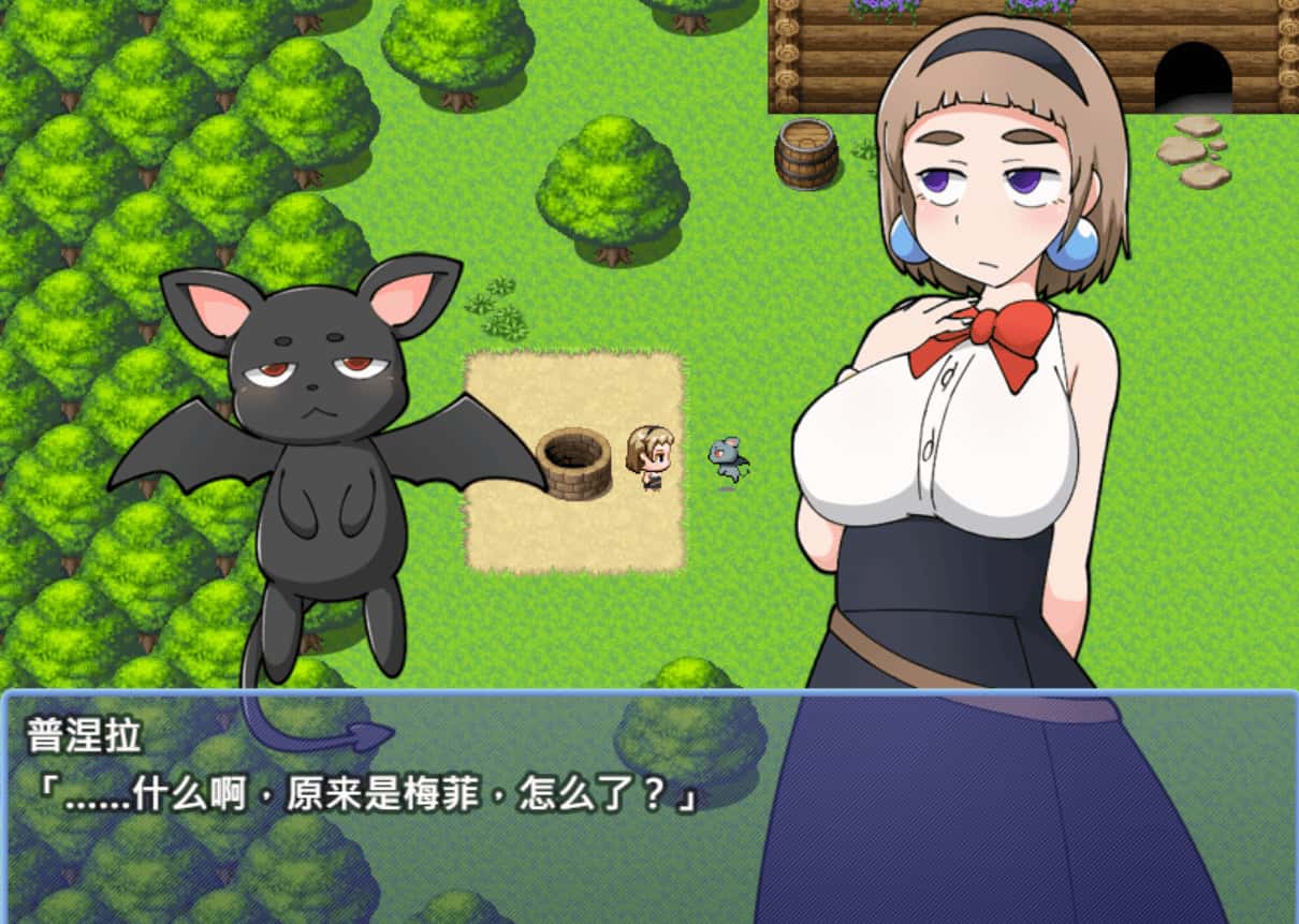 普涅拉与魔法灵药游戏封面